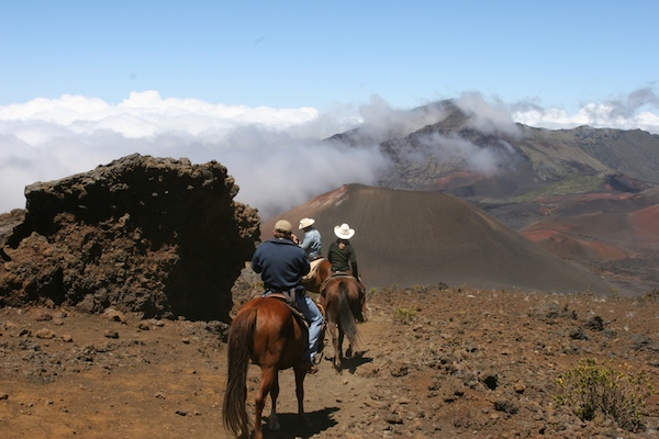 haleakala horse riding maui