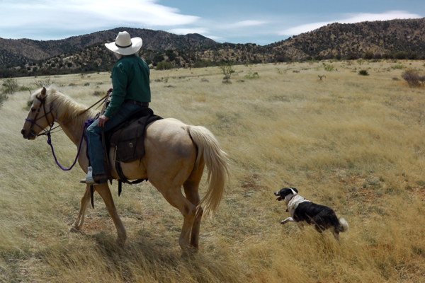 hideout ranch horseback riding