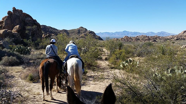 hideout ranch arizona trails