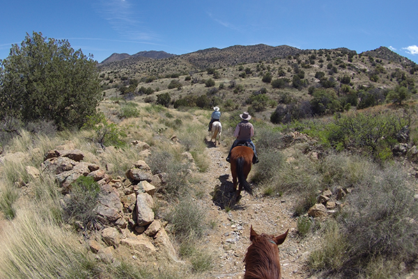 Hideout Ranch between the ears Arizona