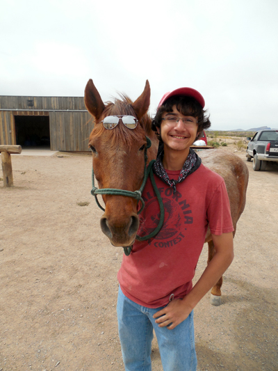 hideout ranch horses