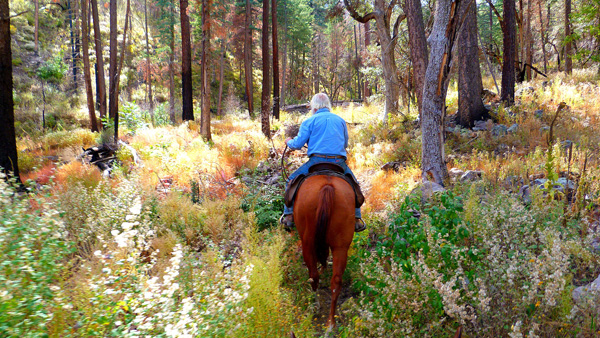 hideout ranch arizona