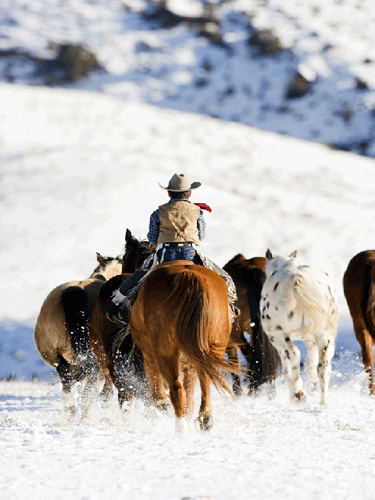 Little cowboy rides at The Hideout