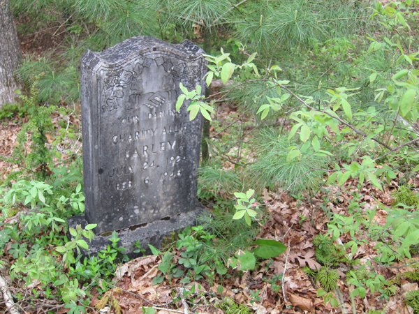 historical grave marker of early settler of camp creek area west virginia 