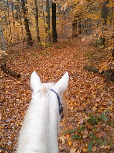 hocking hills horseback