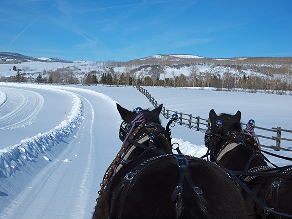 home ranch christmas horse drawn sleigh