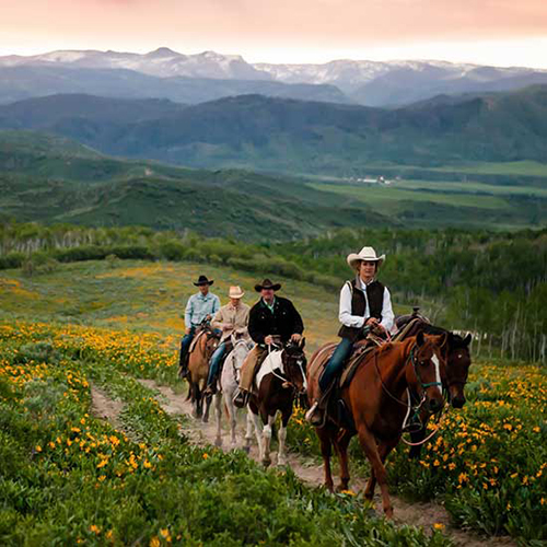 Home Ranch horse riding wine tasting