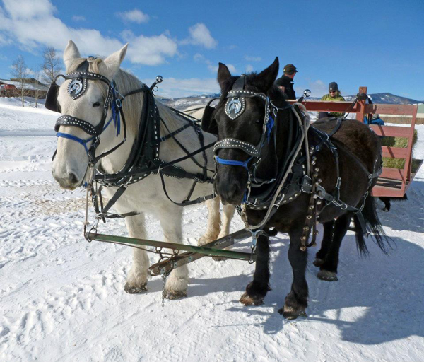 home ranch colorado snow