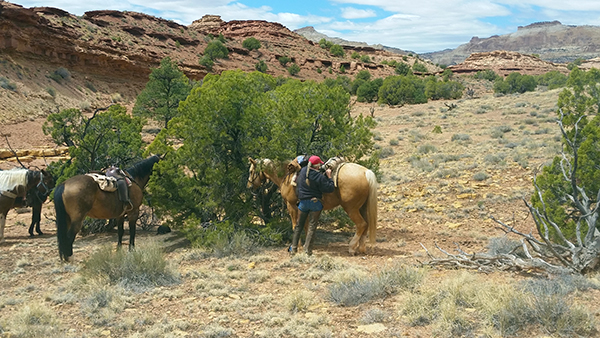 Hondoo Utah lunch camping horseback