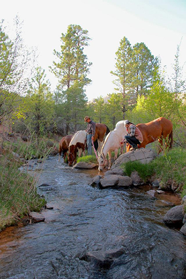 Hondoo Rivers Horseback Inn to Inn Utah