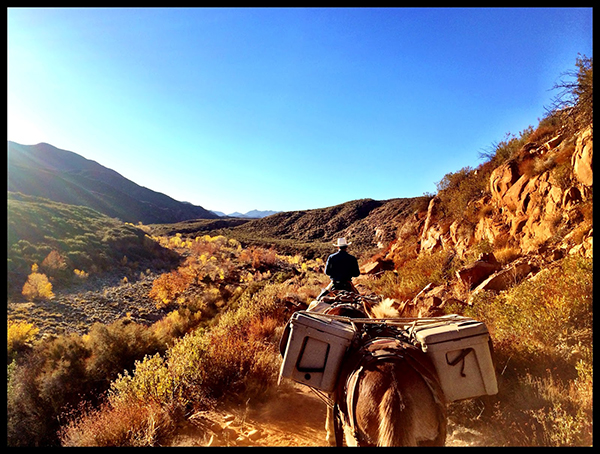 horse riding sespe trail California