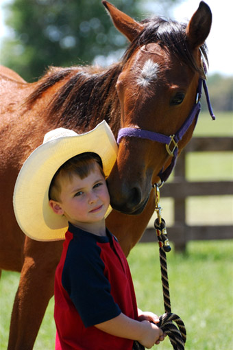 horse and child florida