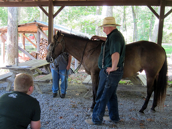 4-H Youth Camp West Virginia equestrian kids