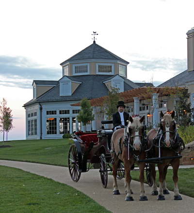 salamander resort horse drawn carriage