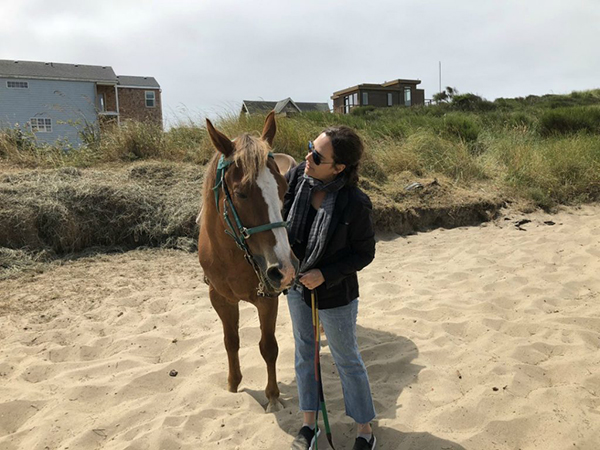 horse hug green acres beach and trail rides oregon