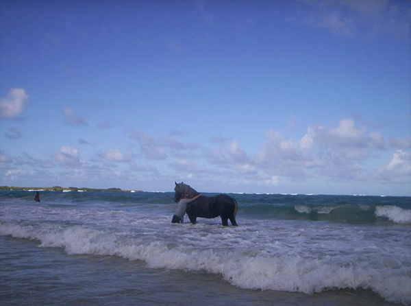 woman and horse in ocean at laie beach oahu hawaii