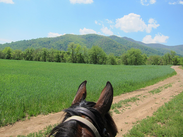 horse riding Virginia trails Shenendoah