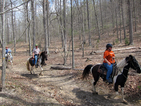 horseback riding George Washington National Forest Virginia