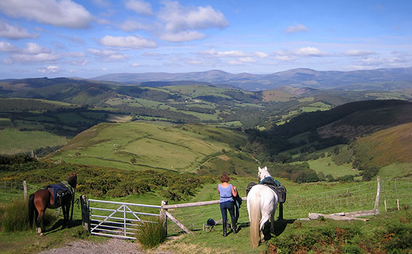 horse riding wales with freerein riding holidays