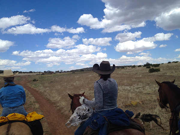 horse riding in texas