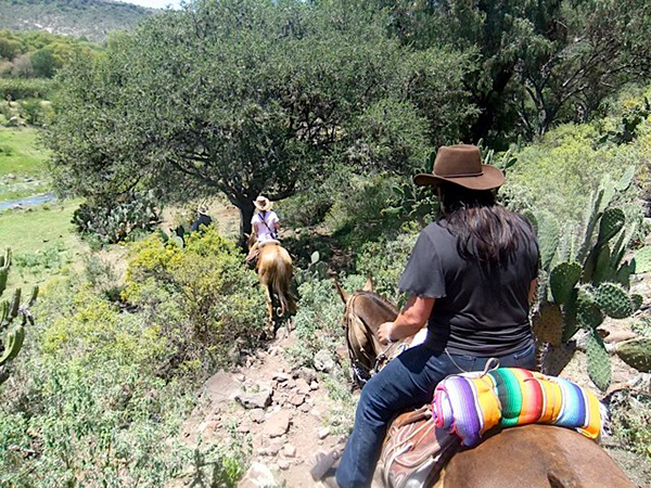 horse riding mexico ranches