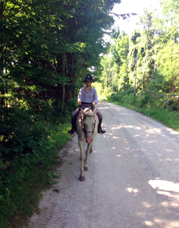 horse riding mountain top inn