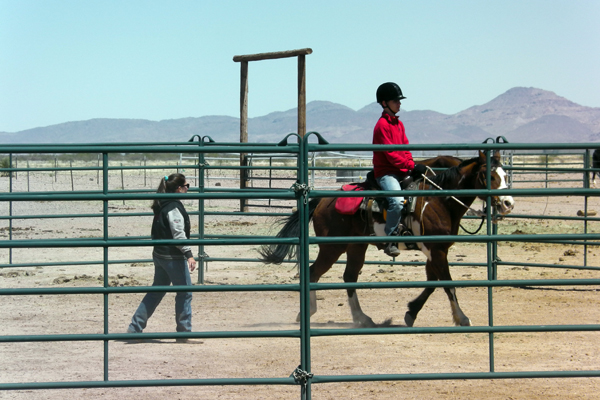 horseback riding round pen arizona