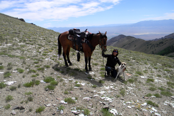 horseback riding nevada american discovery trail