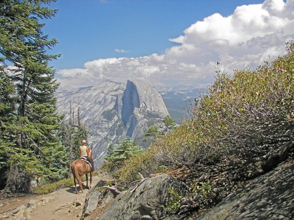 horseback riding in yosemite