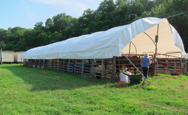 horse stalls Buffalo River Tennessee