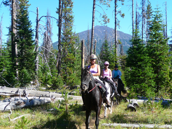 horse trails near todd creek oregon