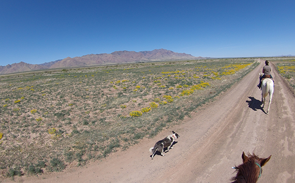horse riding arizona ranches