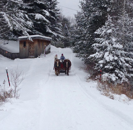 horse drawn sleigh vermont