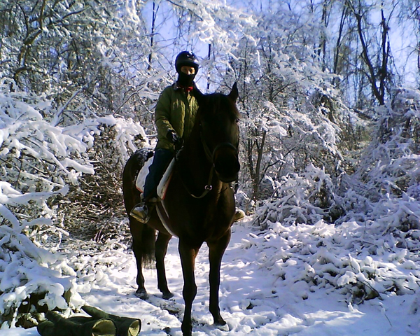 horse riding snow