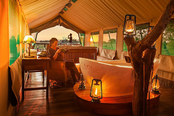 horse safari tent okavango delta