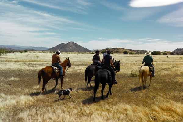 hideout ranch arizona horseback riding