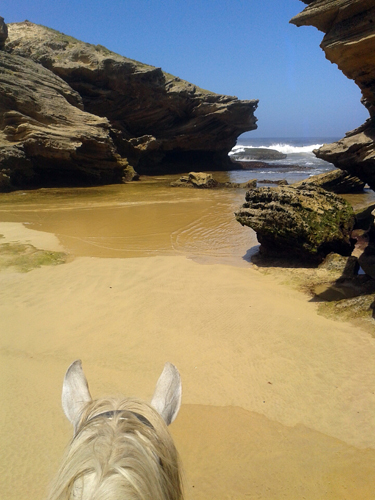 south africa horseback beach