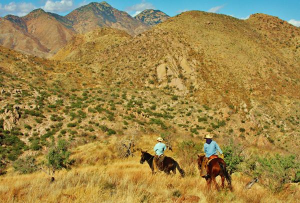 horseback riding mexico rancho los banos