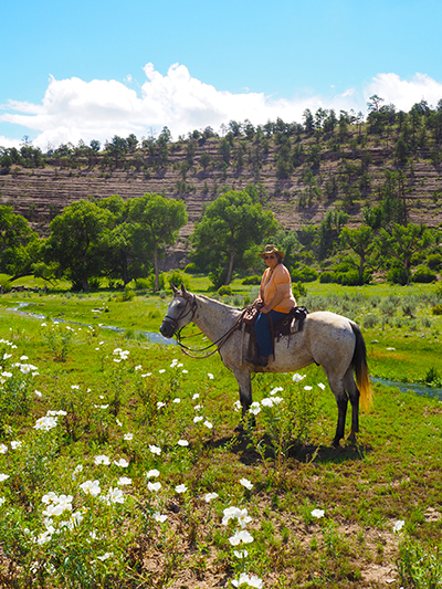 horseback riding new mexico