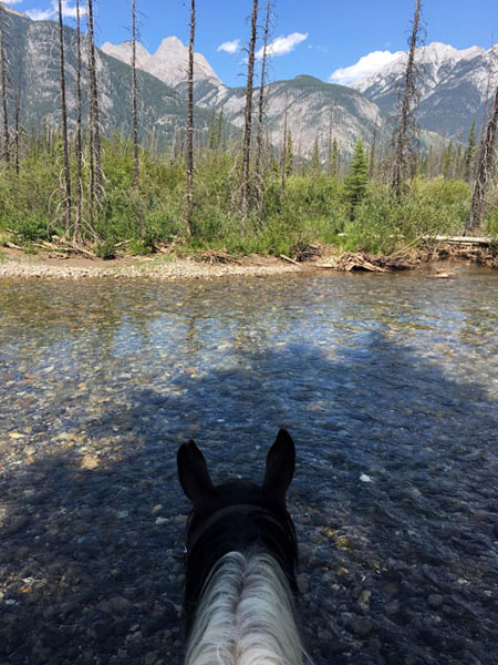 riding horses through river in banff national park