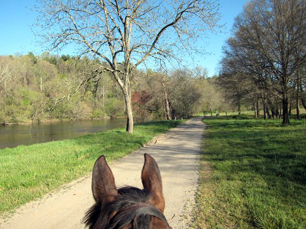 horseback riding French Broad River