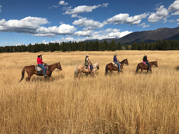 horseback riding in Big Sky