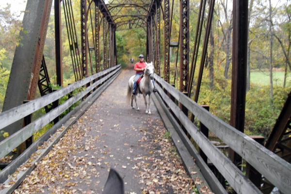 horseback riding new jersey bridge