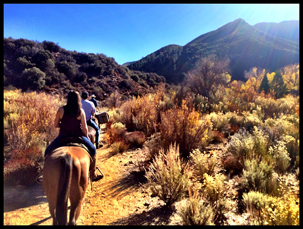 horseback riding california