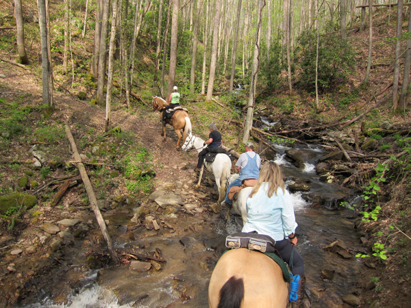 horseback riding at camp creek state park and forest in west virginia