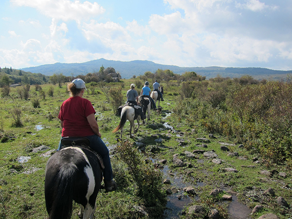 horseback riding virginia grayson highland state park 