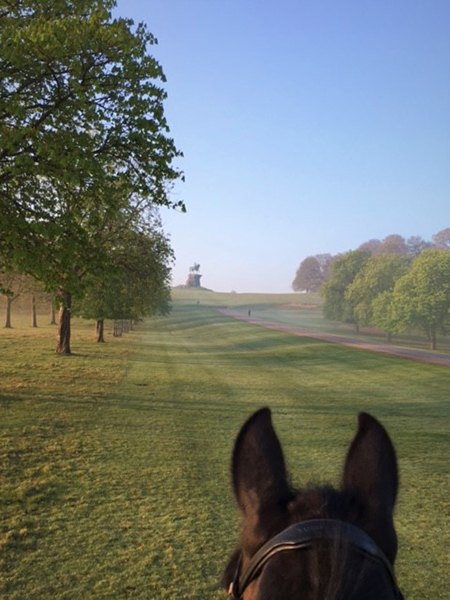 between the ears view from horseback of statue at windsor great park uk