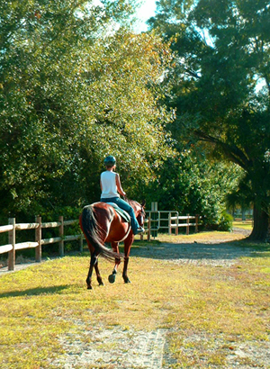 horseback riding ober