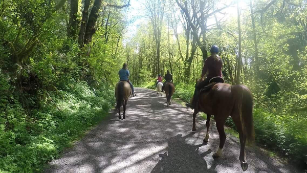 horseback-riding-ogrady-trails-enumclaw-washington