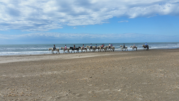 horseback riding on the beach in camargue france